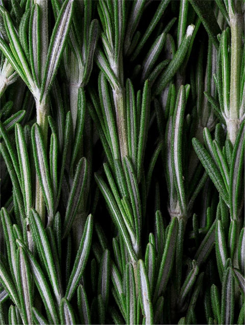 Deep Cleanse Scalp Scrub, Rosemary & Mint